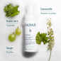 Caudalie Vinoclean Mousse Nettoyante Fleur de Vigne 150ml