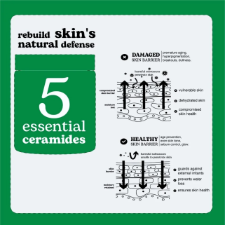Beesline Crème Barrière Pour Tous 50ml
