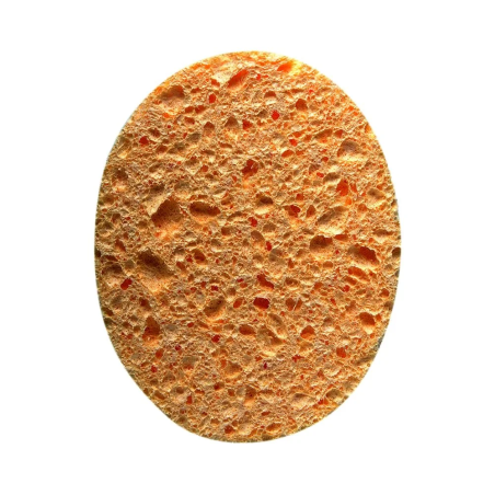 TITANIA Eponge Humide 12×9.5cm x2 – 1980 – Maquillage | Titania - Visage Tunisie | Miral Parapharmacie