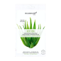 Eco Secret Masque Visage Aloe Vera 20ml Eco Secret Masque Visage Aloe Vera 20ml