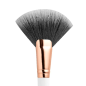 Topface Fan Brush F22