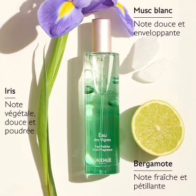 Caudalie Eau Fraîche Eau des Vignes 50ml – Parfum | Caudalie - Corps Tunisie | Miral Parapharmacie