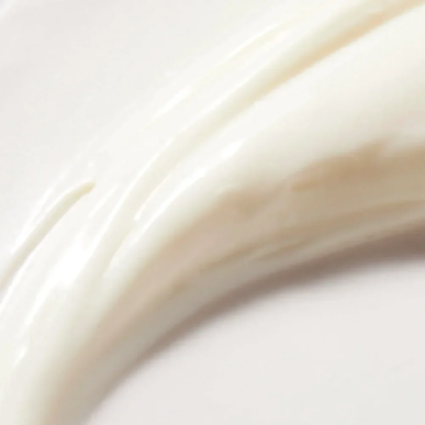 Nuxe Reve de Miel Crème Mains Riche Cica 50ml – Soins des mains | NUXE - Corps Tunisie | Miral Parapharmacie